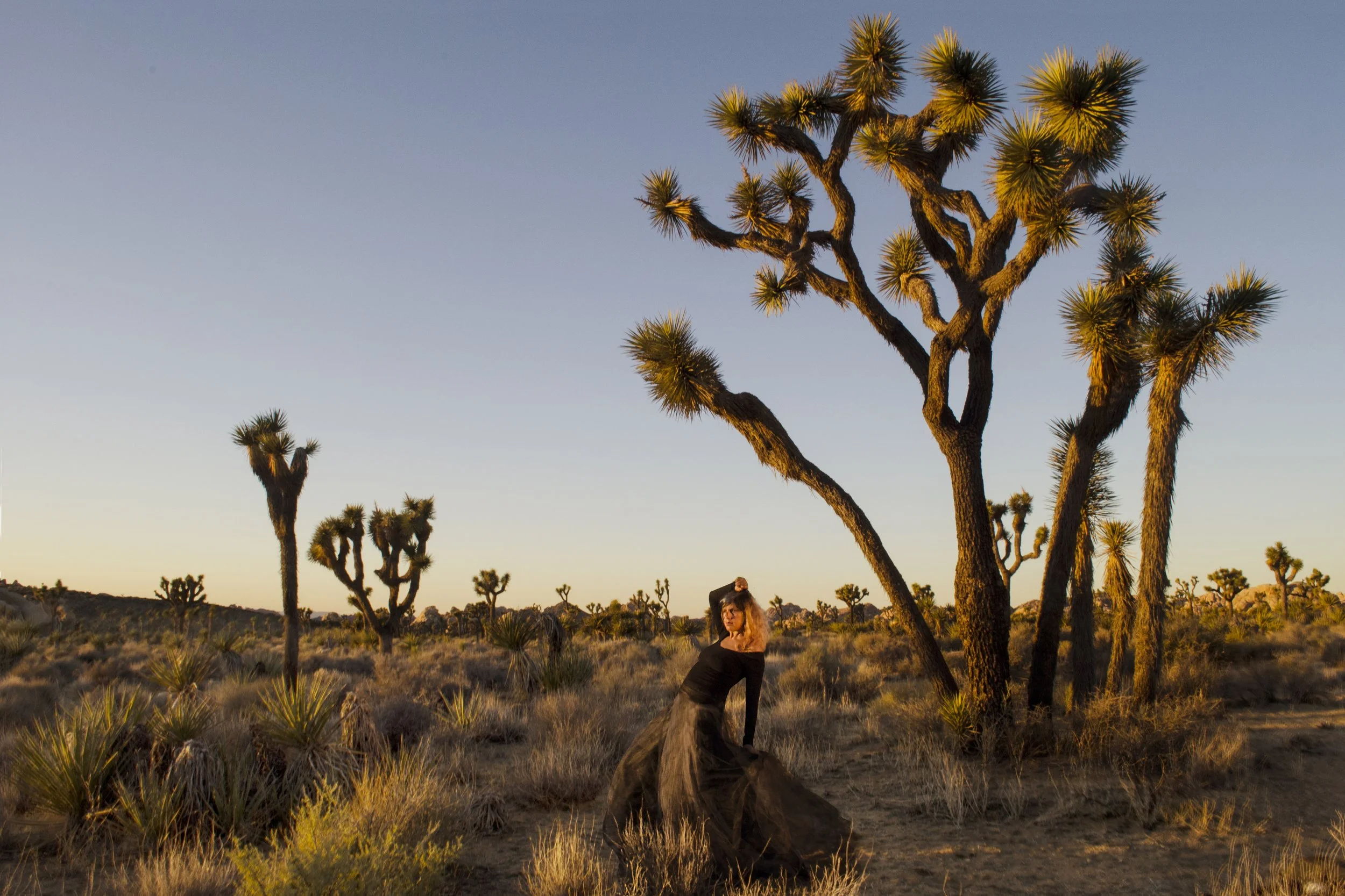 highfashion-joshuatree.jpg
