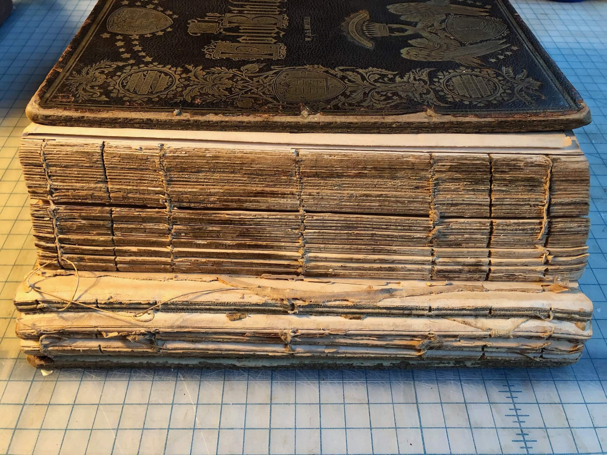  Text block spine, before treatment 