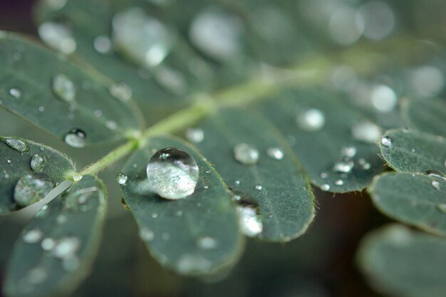 IMG_8910.jpeg