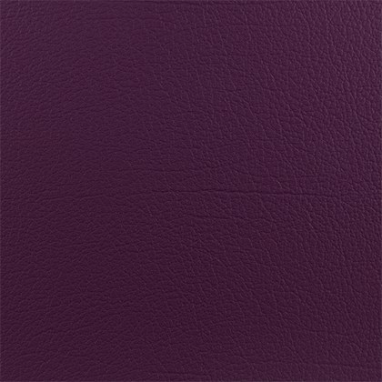 Amesthyst.png