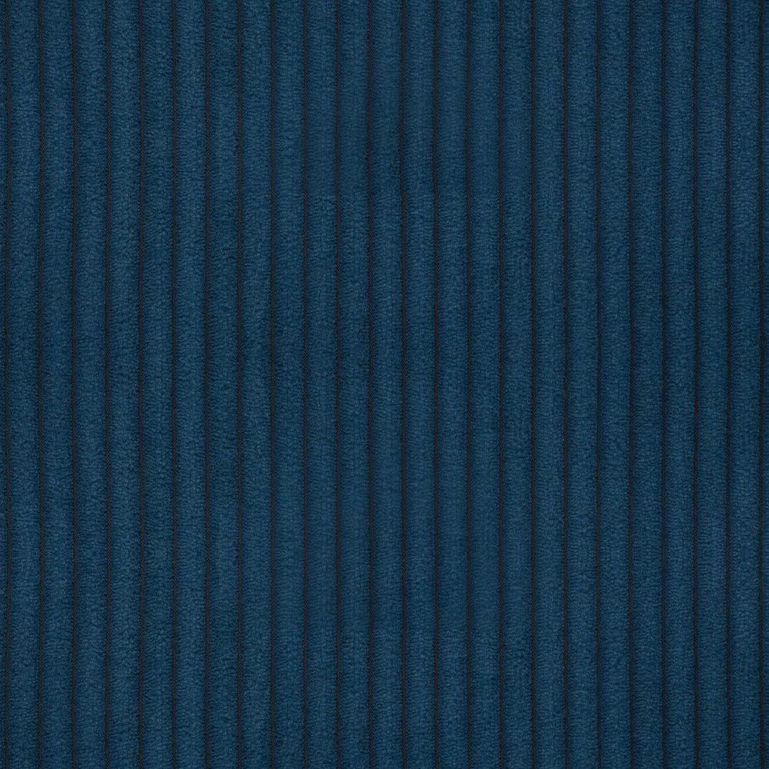 Zoom 13.png