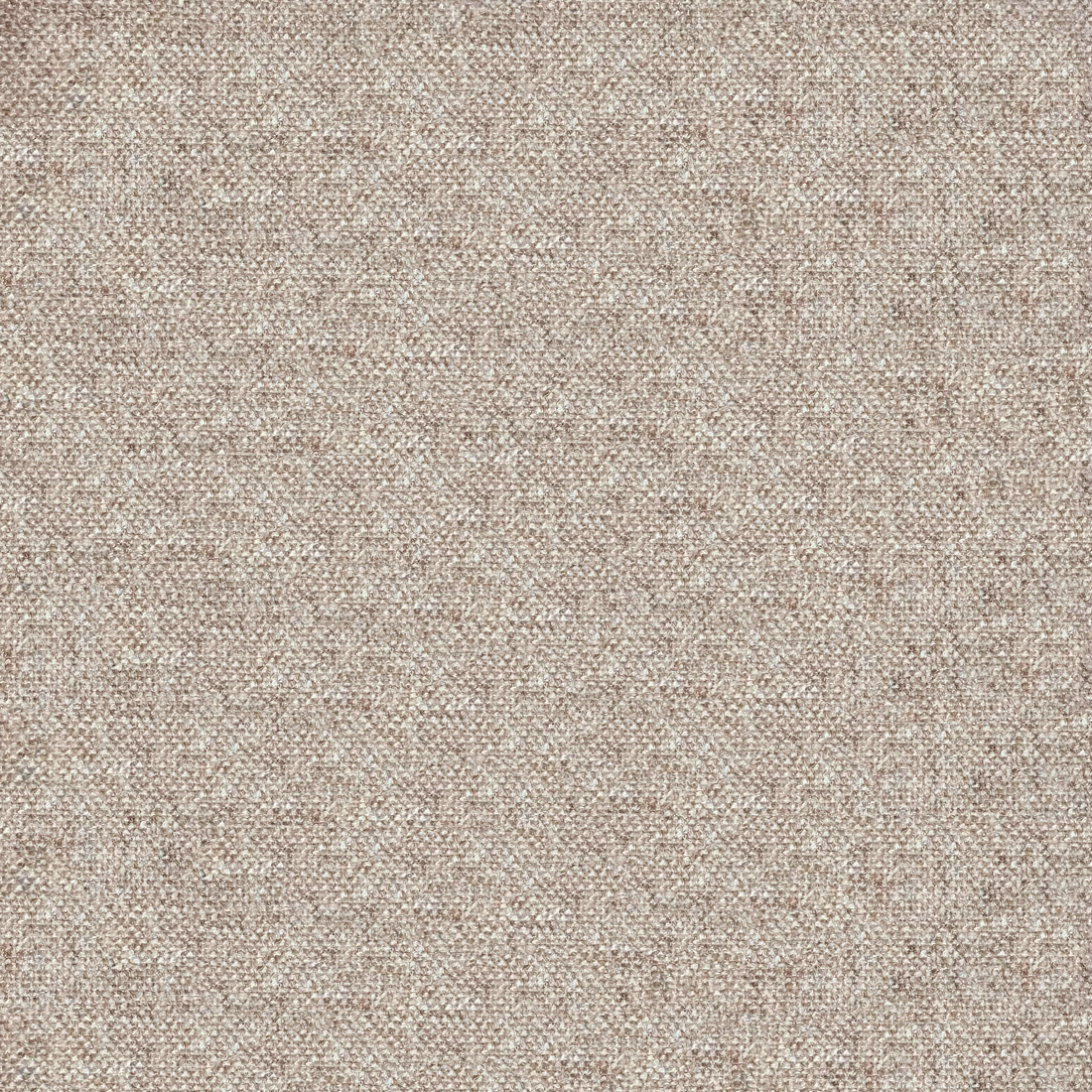 07 Sesame.png