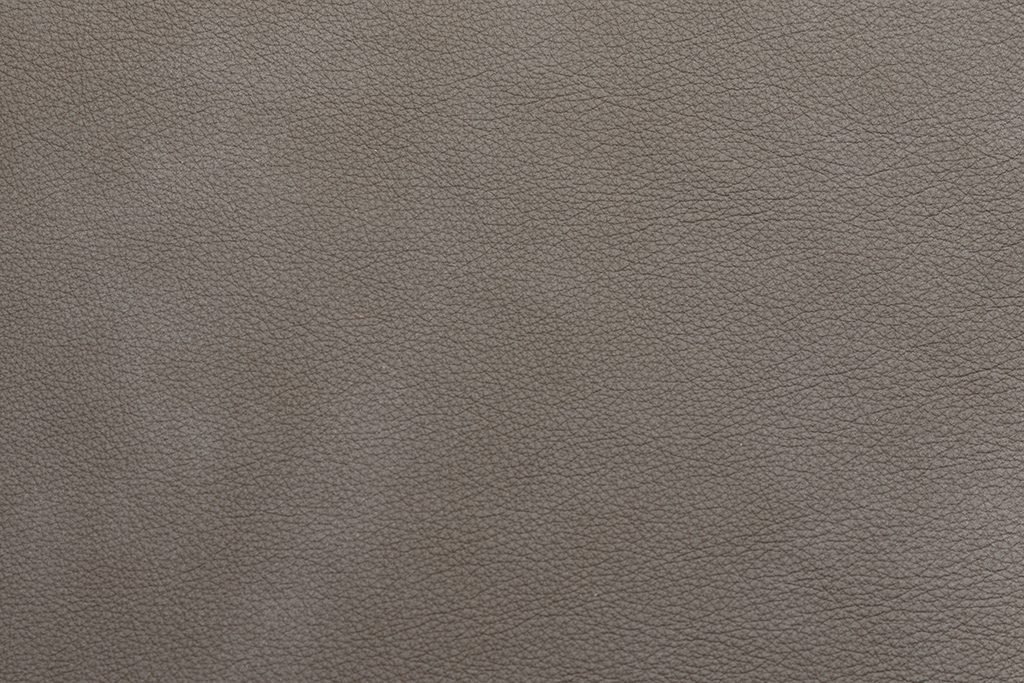 TEMPESTA-hazelnut-OKweb.jpg