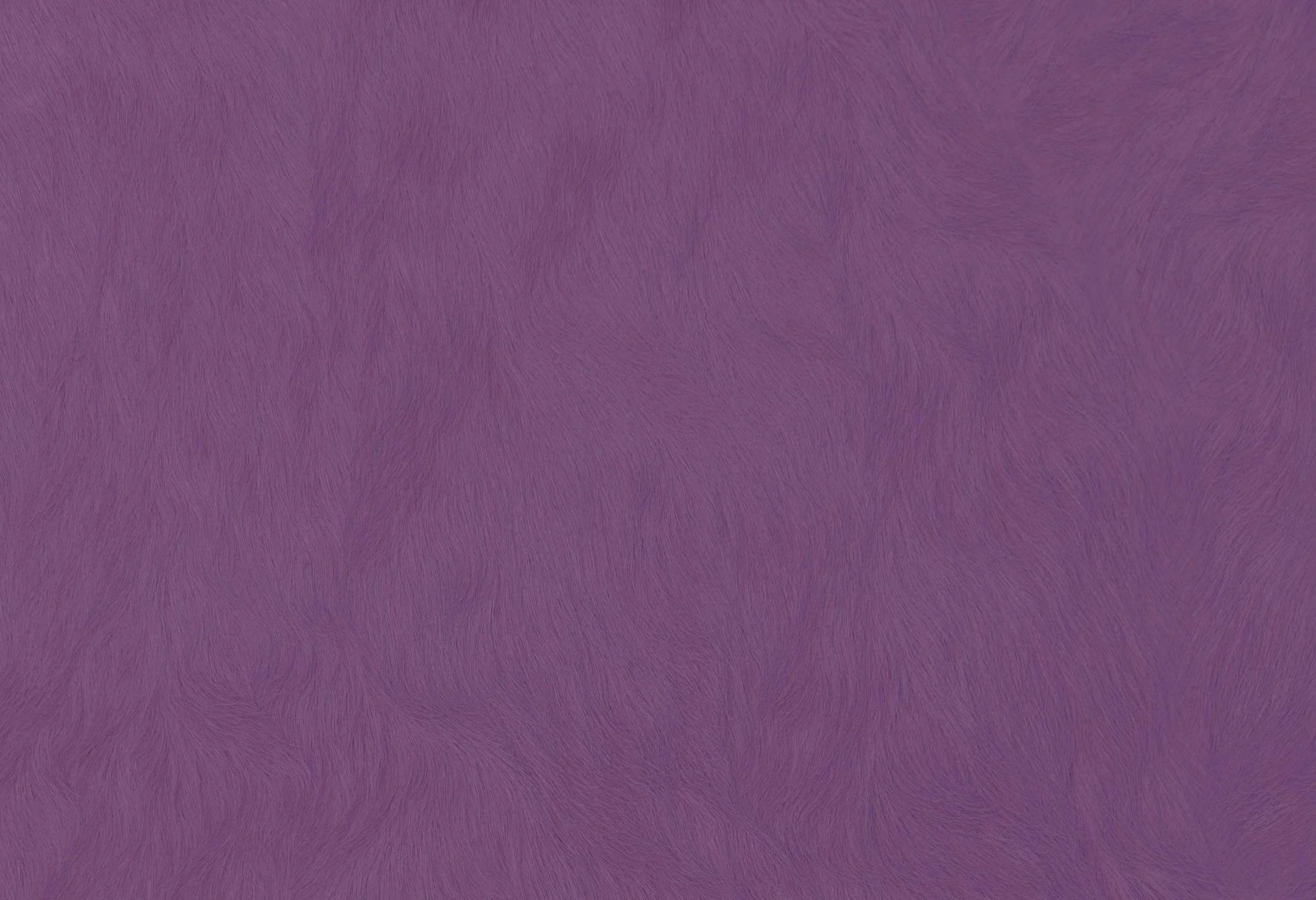 9001