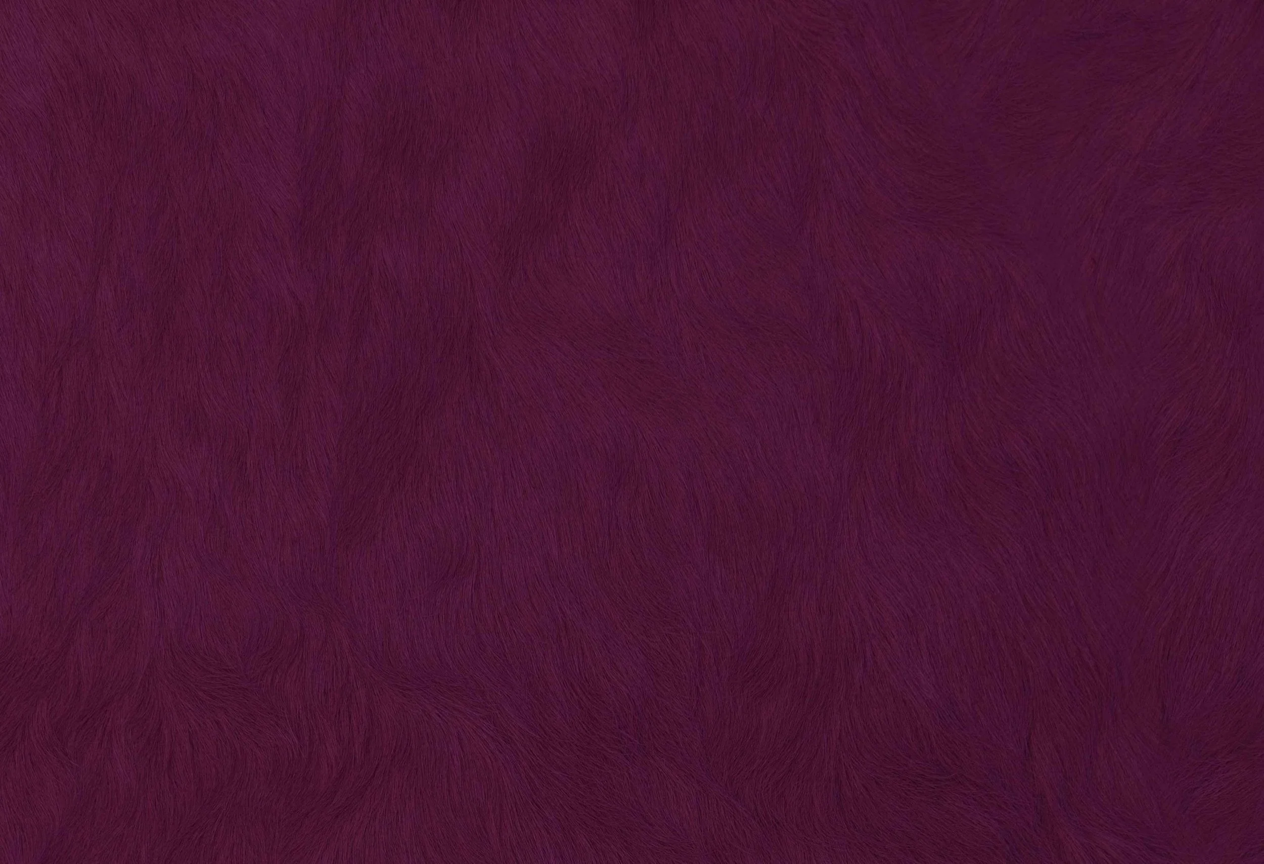 9005