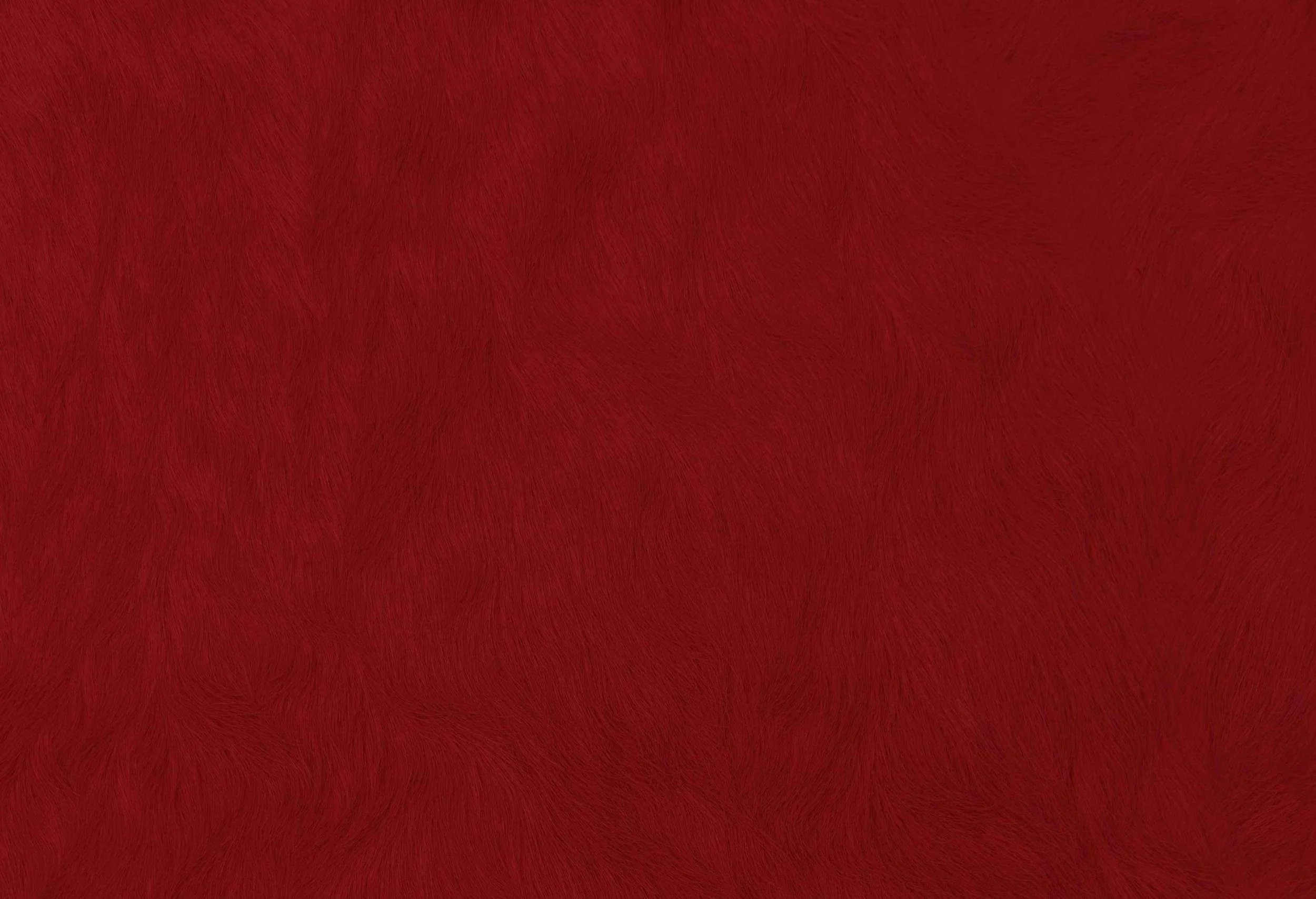 9025