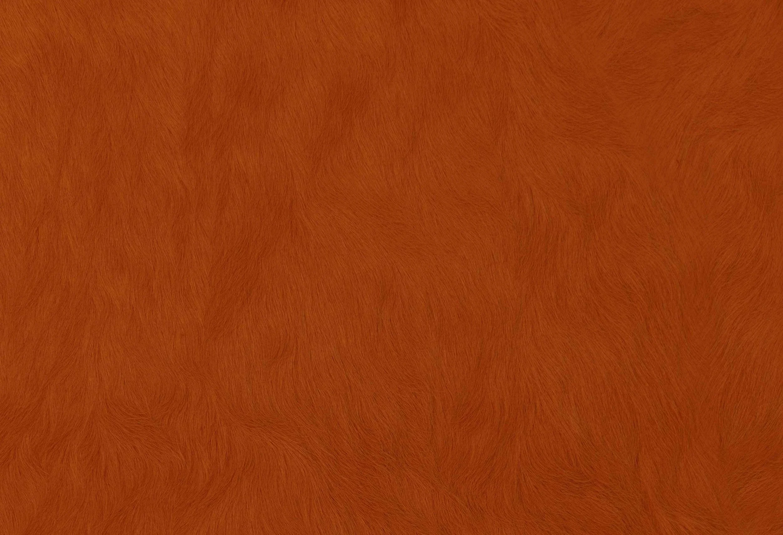 9029