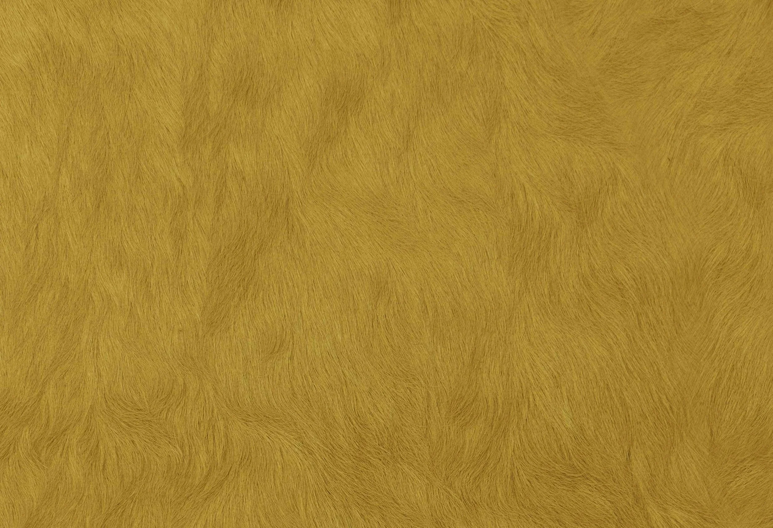 9033