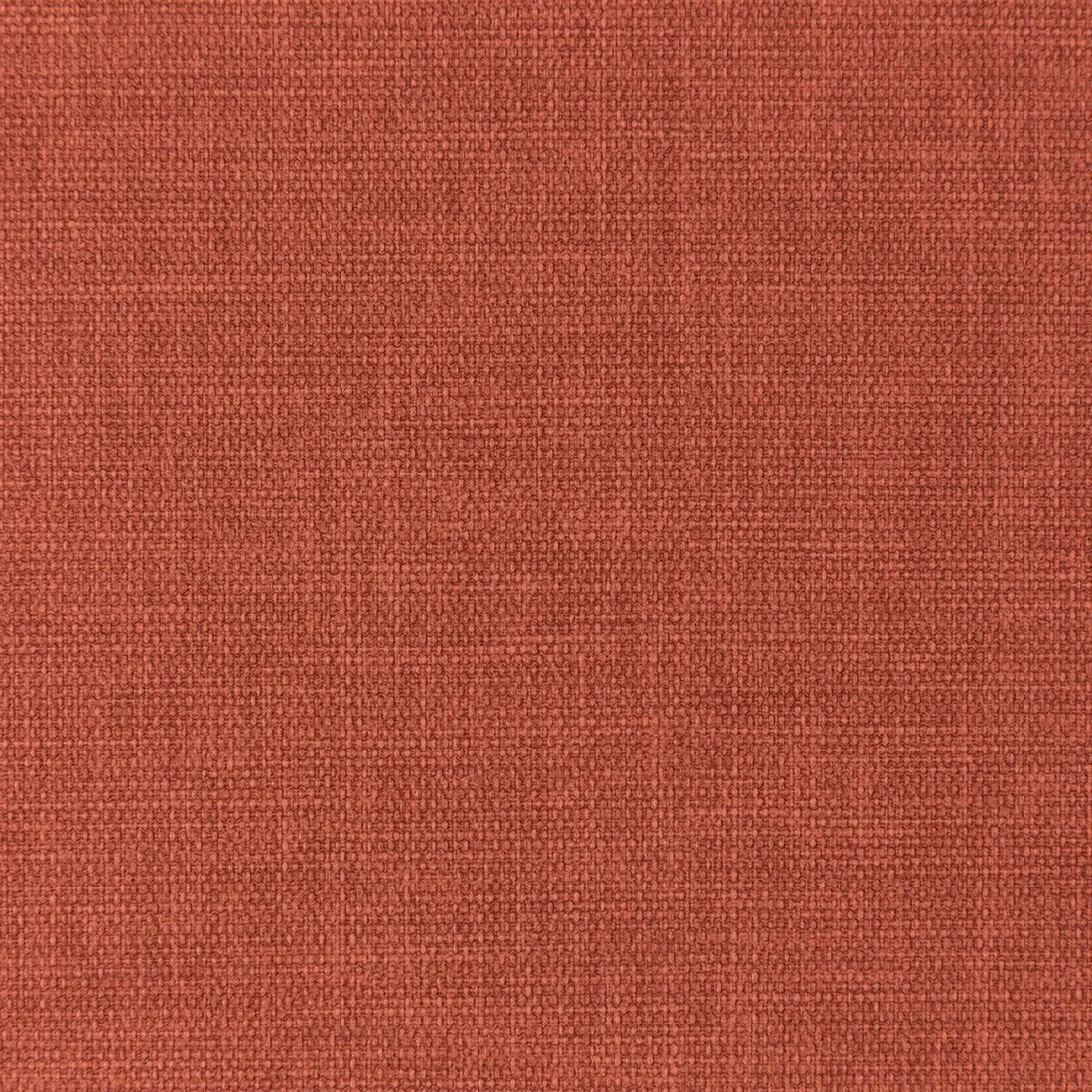 Rooibos Tea