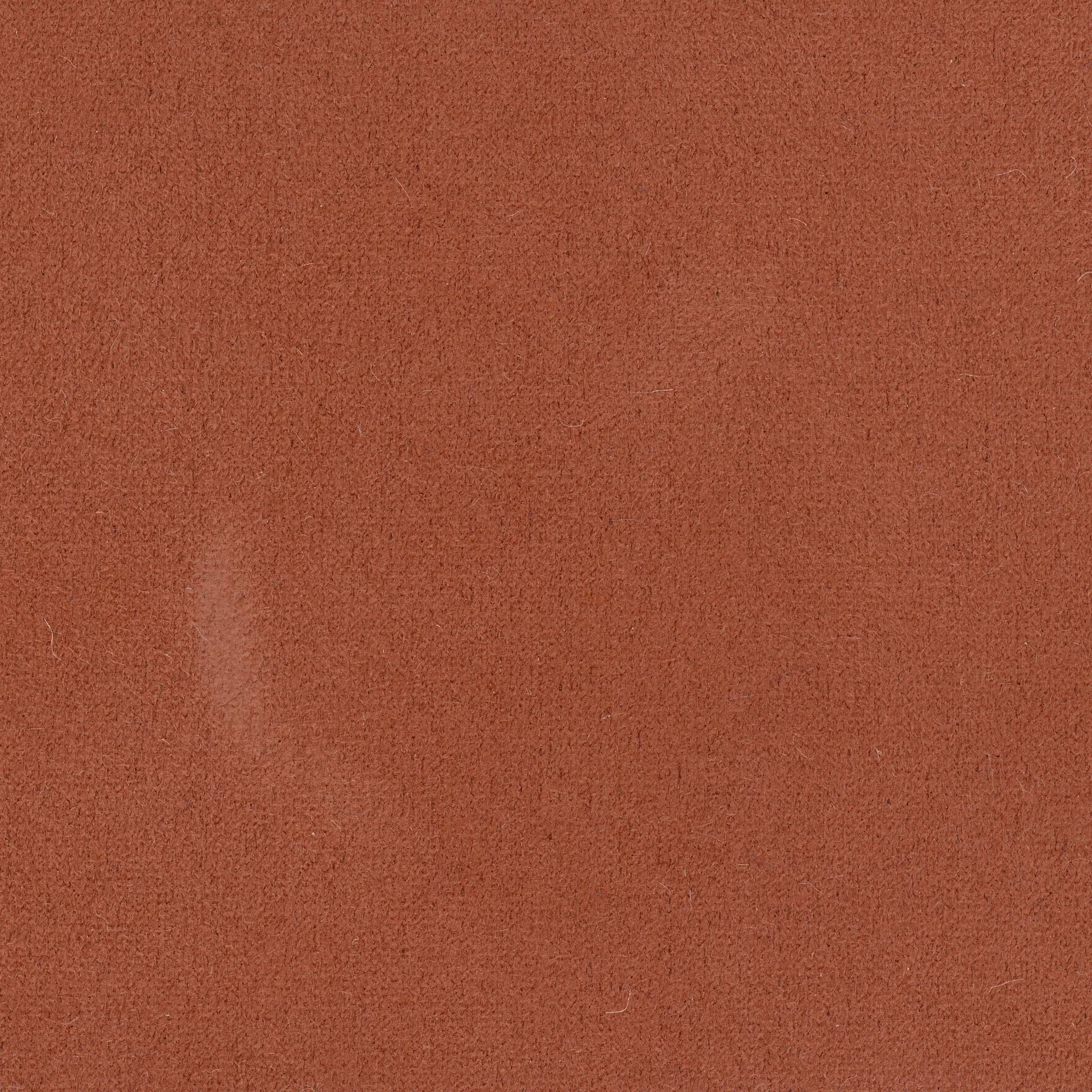 VGT 2879 TP BACH COL.32.jpg
