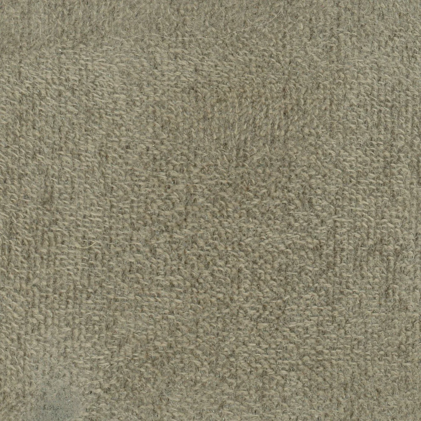 VGT 2879 TP BACH COL.108.jpg