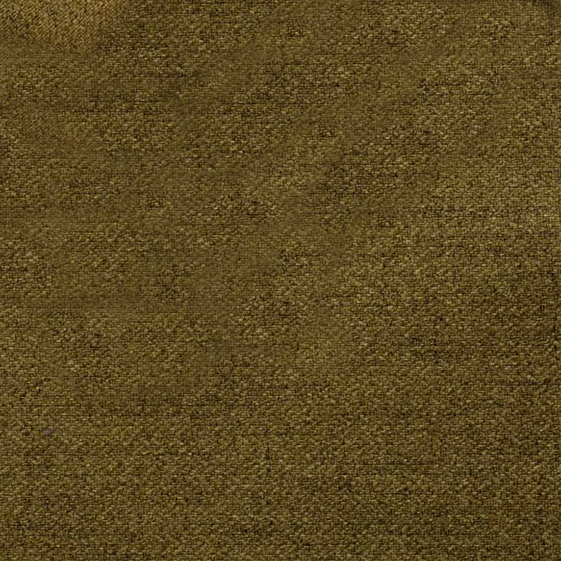 11 Olive