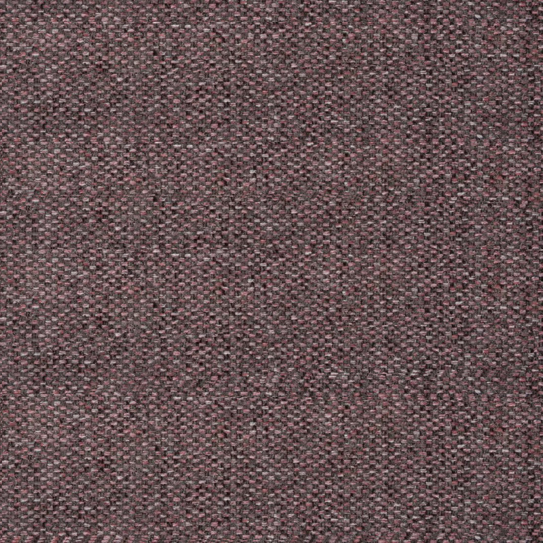 11 Dusty Rose