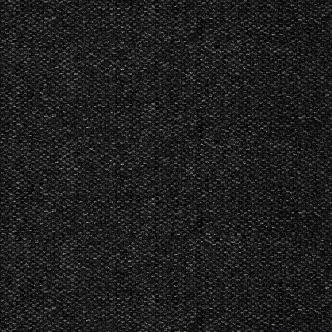 19 Black