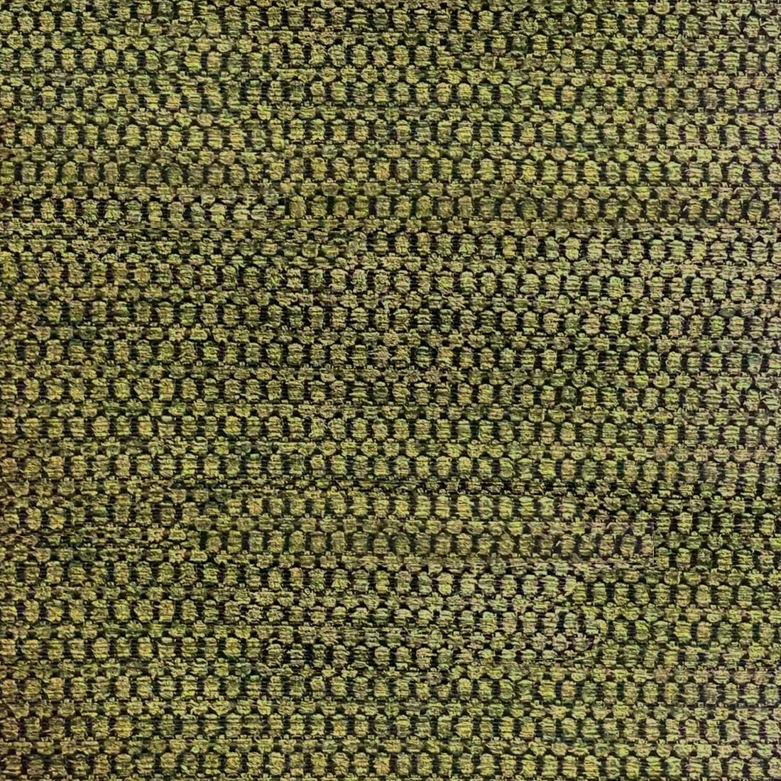 09 Olive