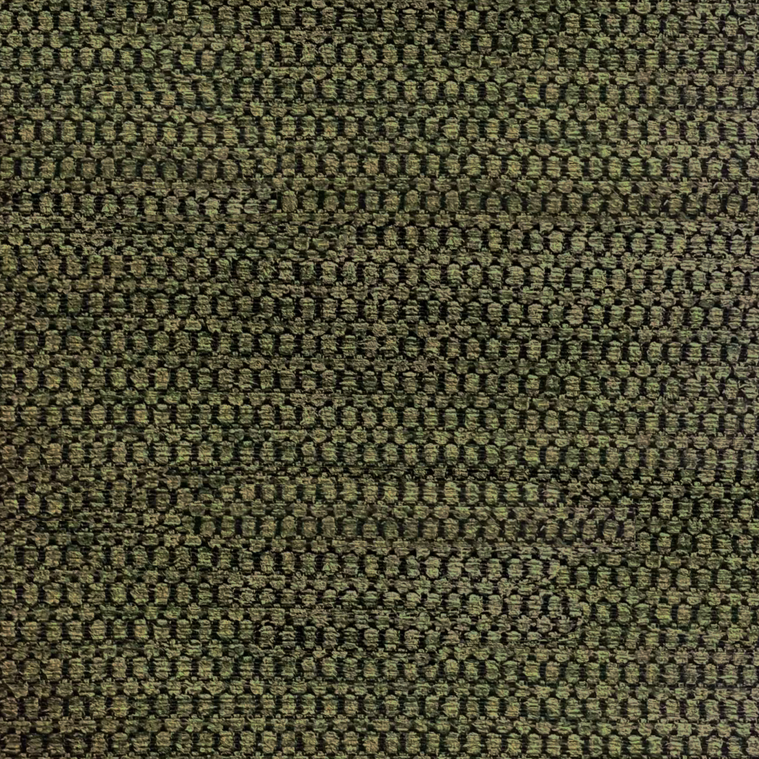 10 Winter Moss