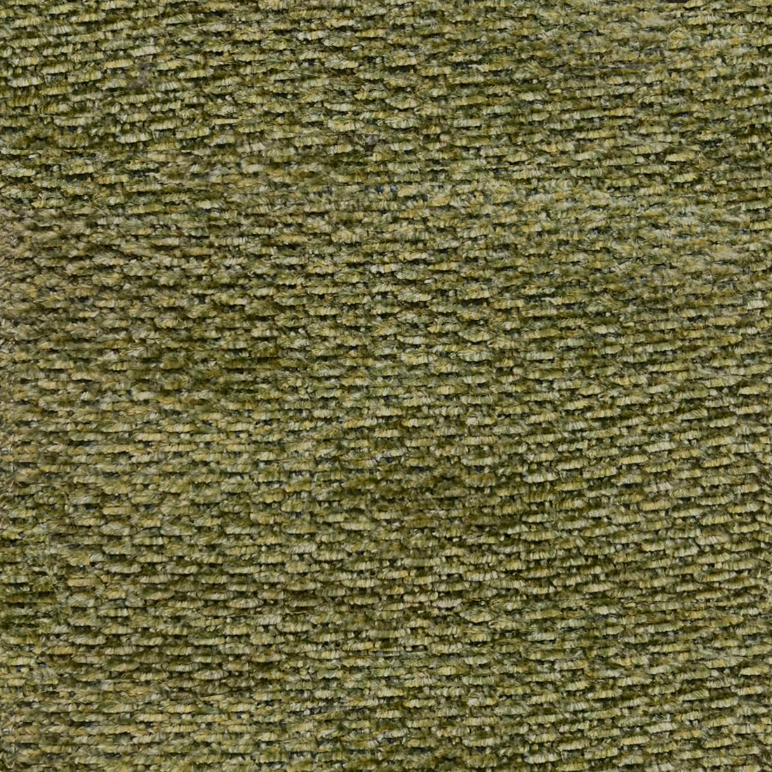 11 Grasshopper