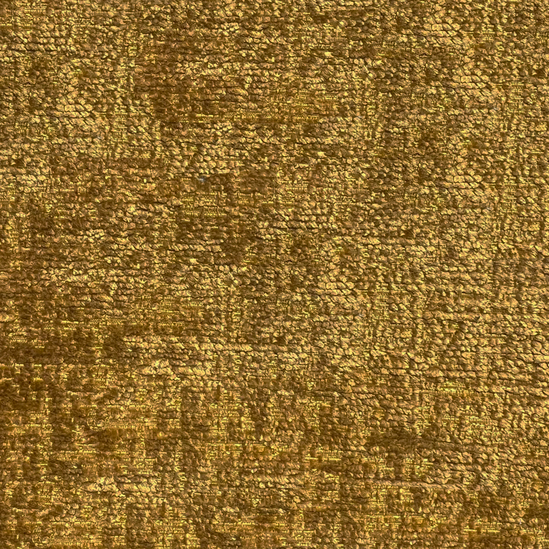 12 Inca Gold