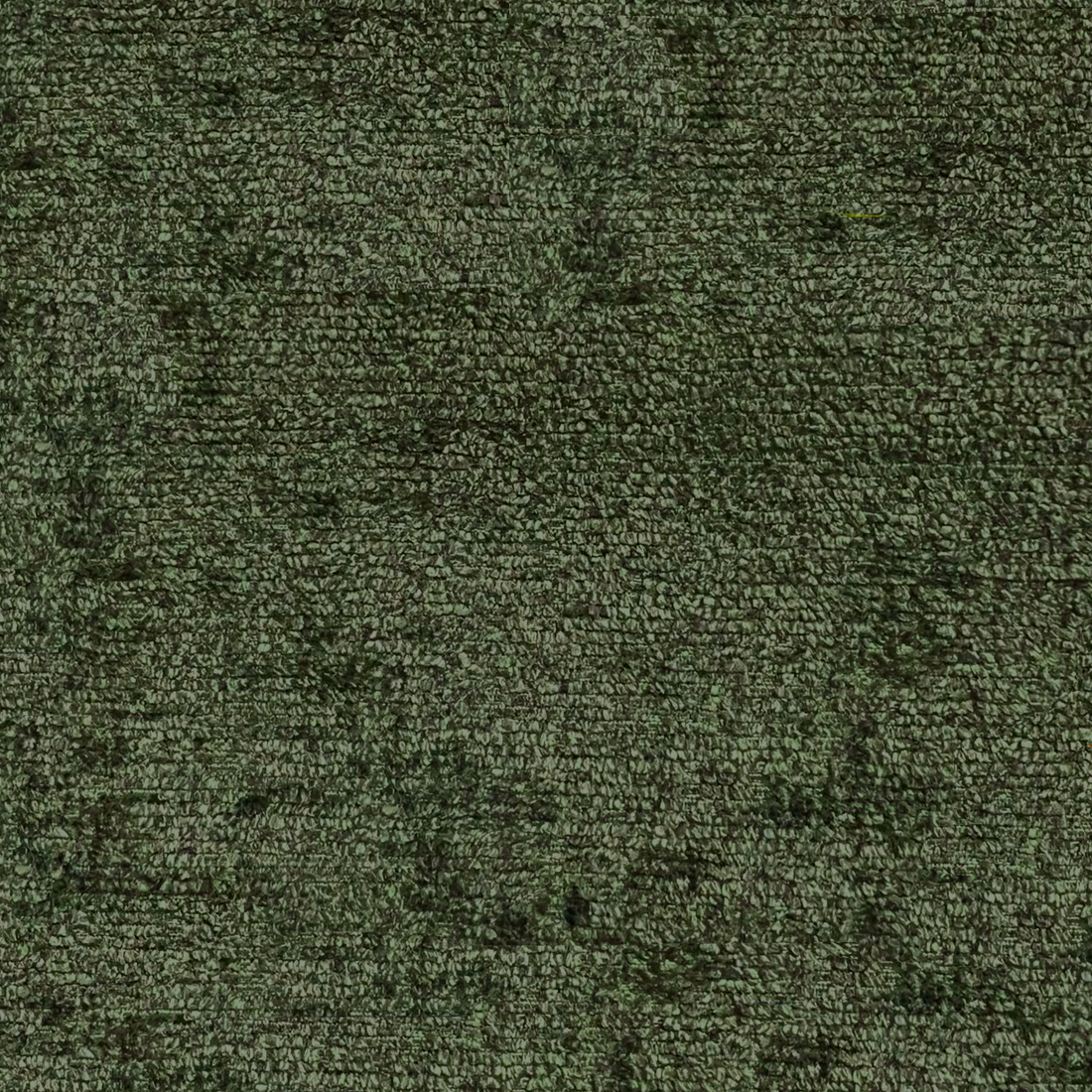 15 Winter Moss