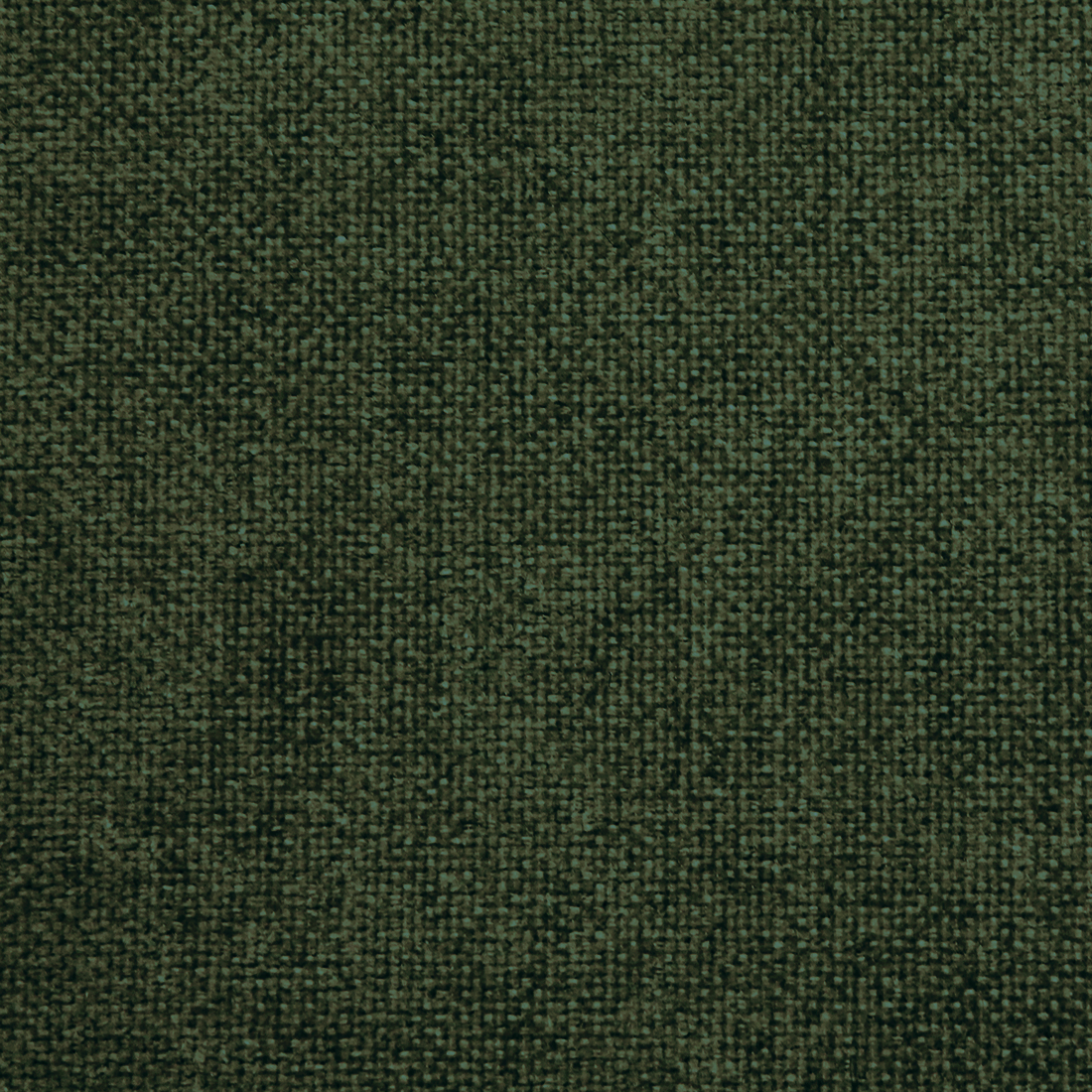12 Winter Moss