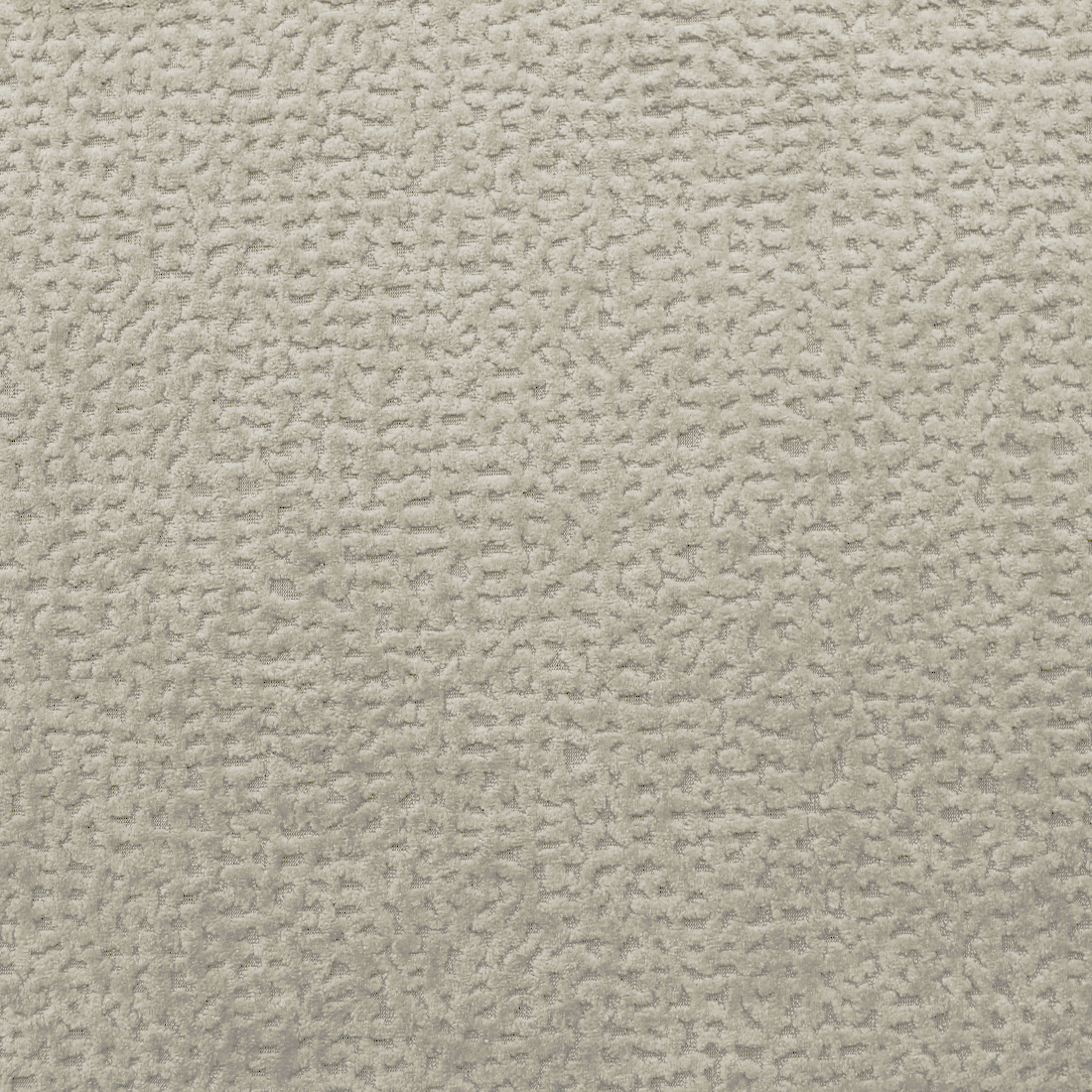 01 Ivory