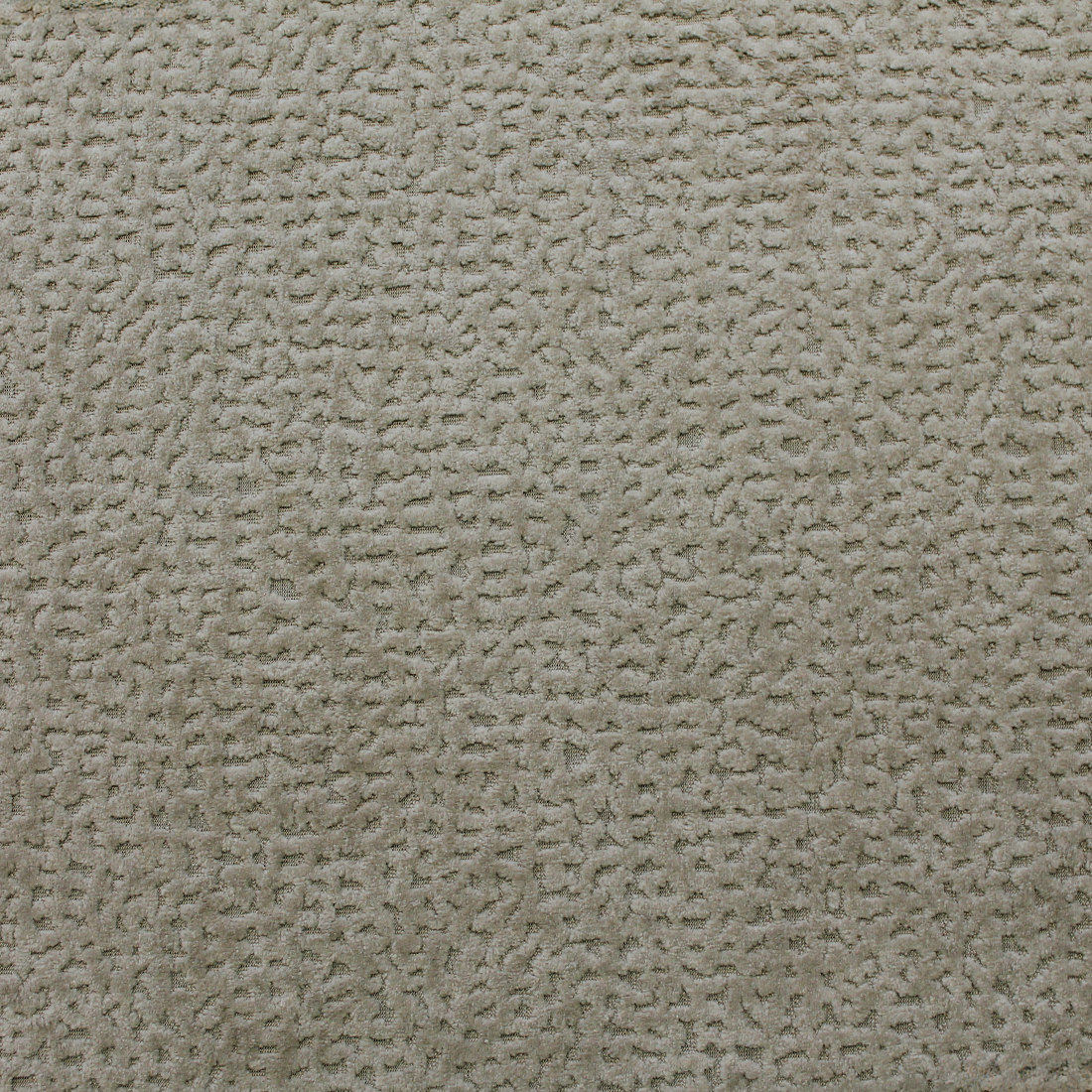 05 Beige