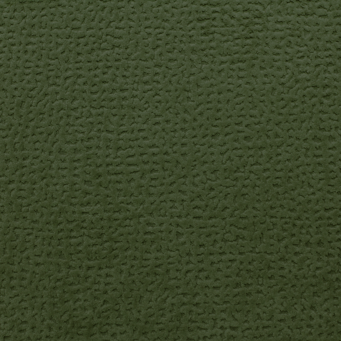 12 Olive