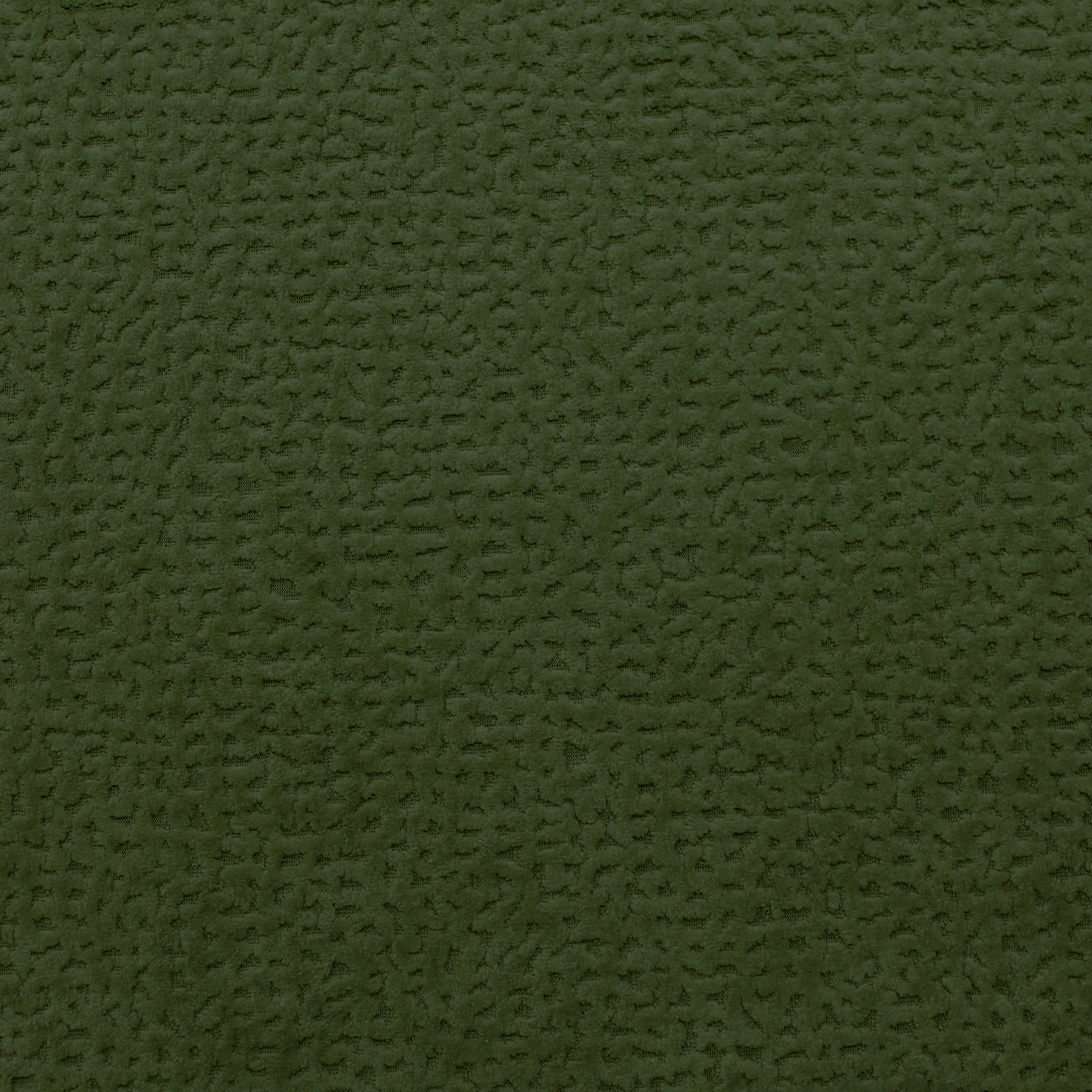 13 Winter Moss