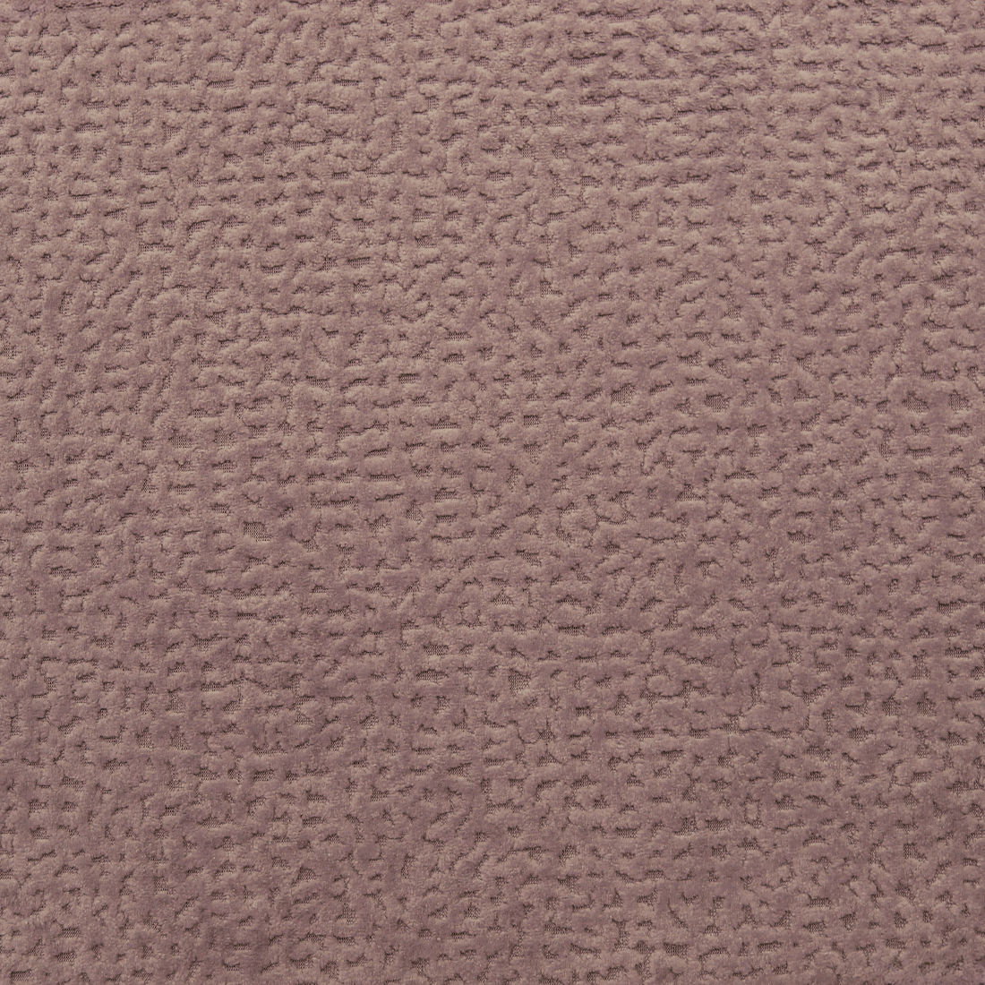 17 Coral