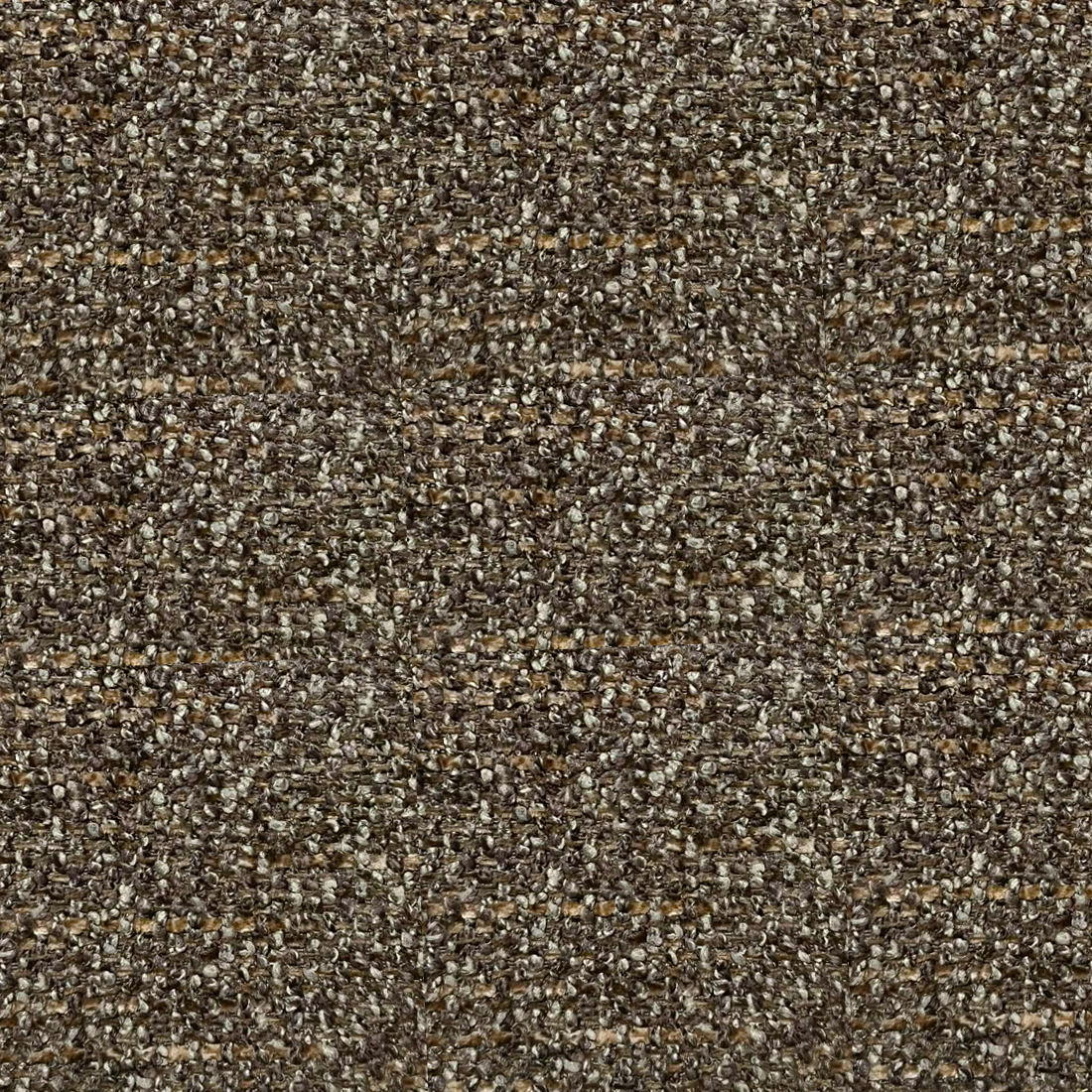 04 Cocoa