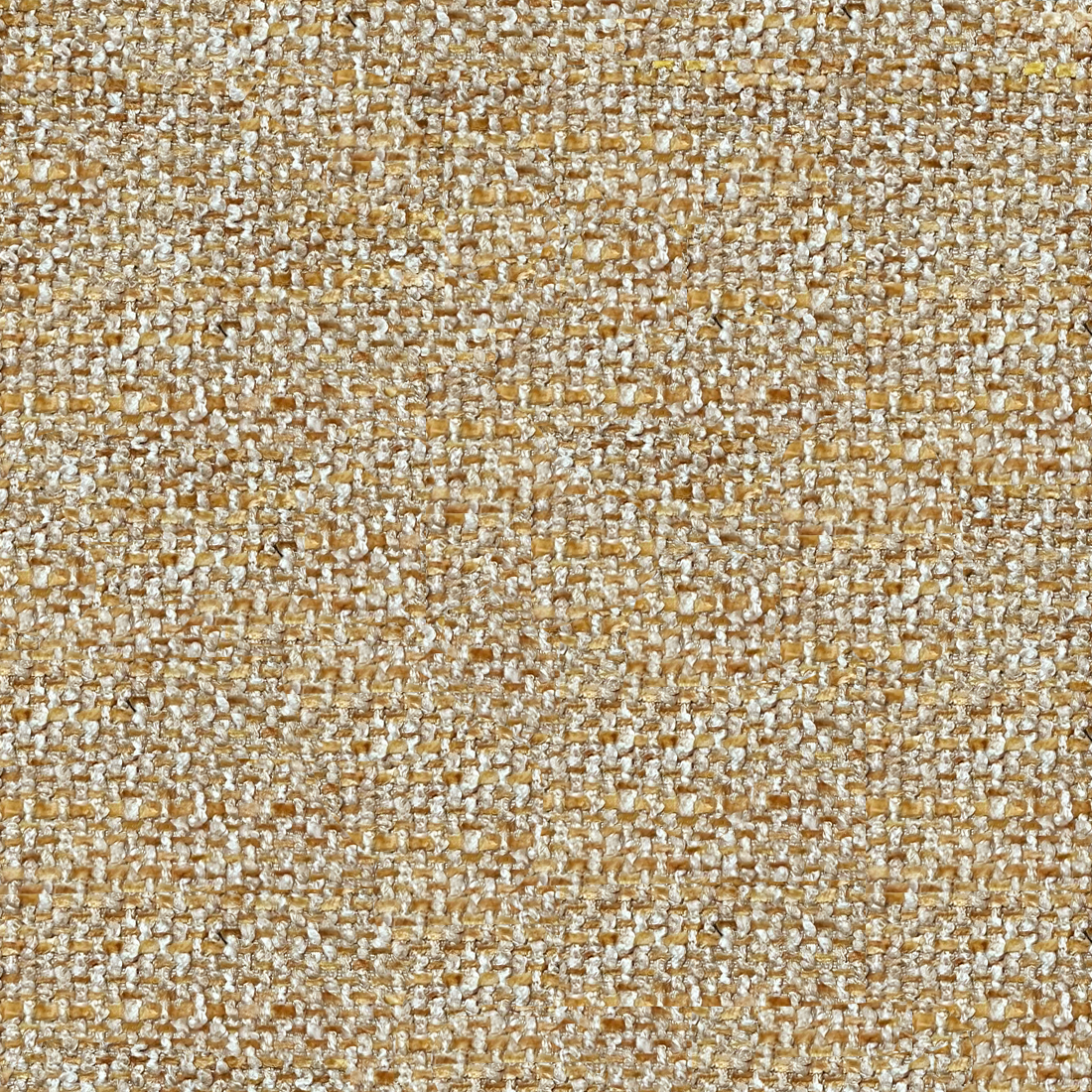 09 Sahara Sun