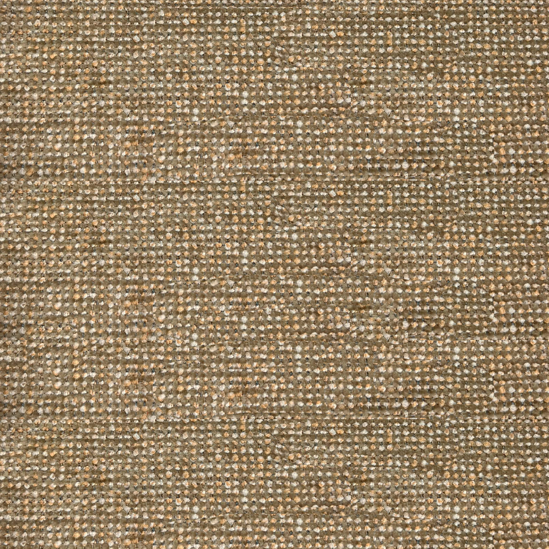 08 Dune