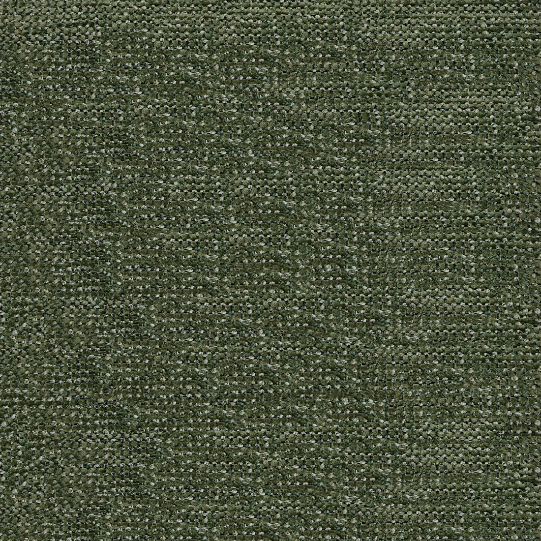 15 Forest