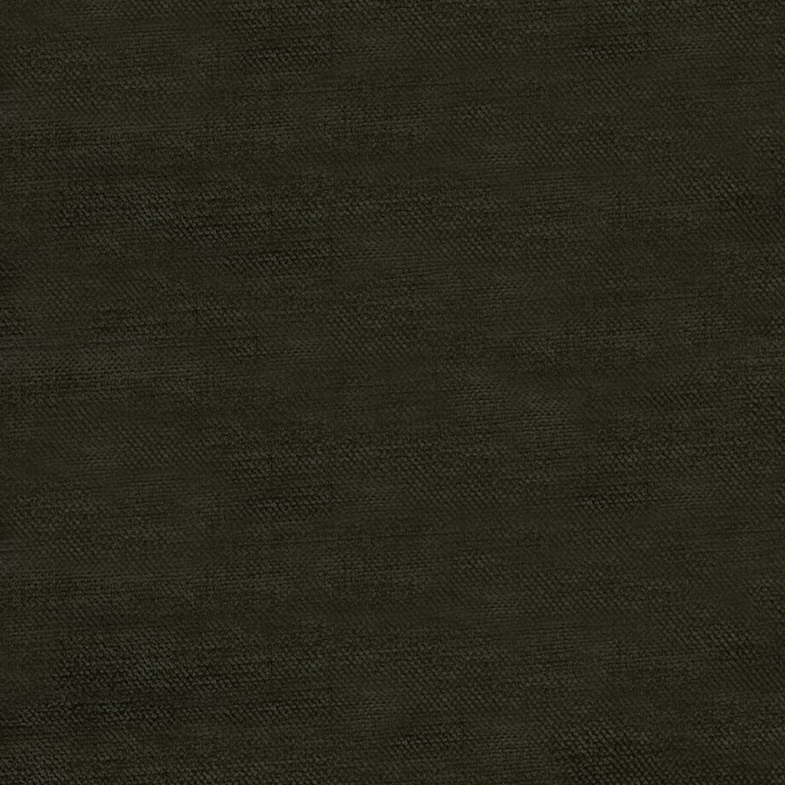 16 Forest Night.png