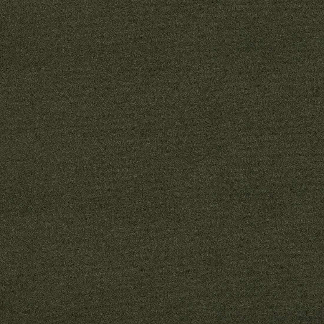 11 Olive.png