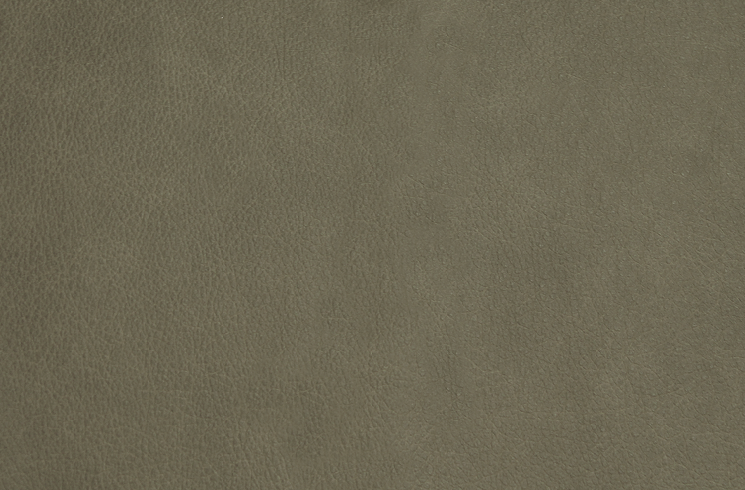 salvia.png