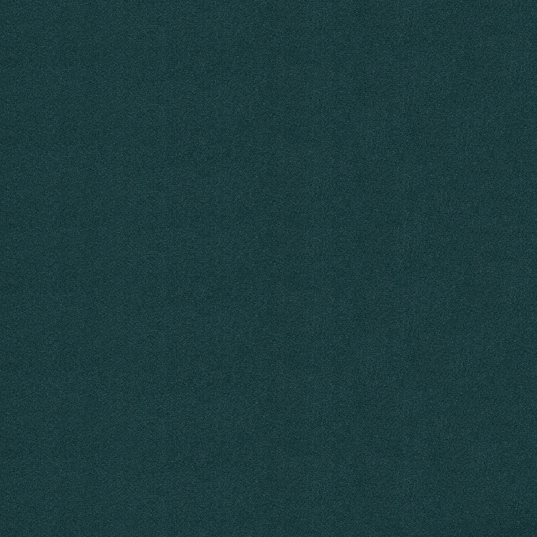 12 Rain Forest.png