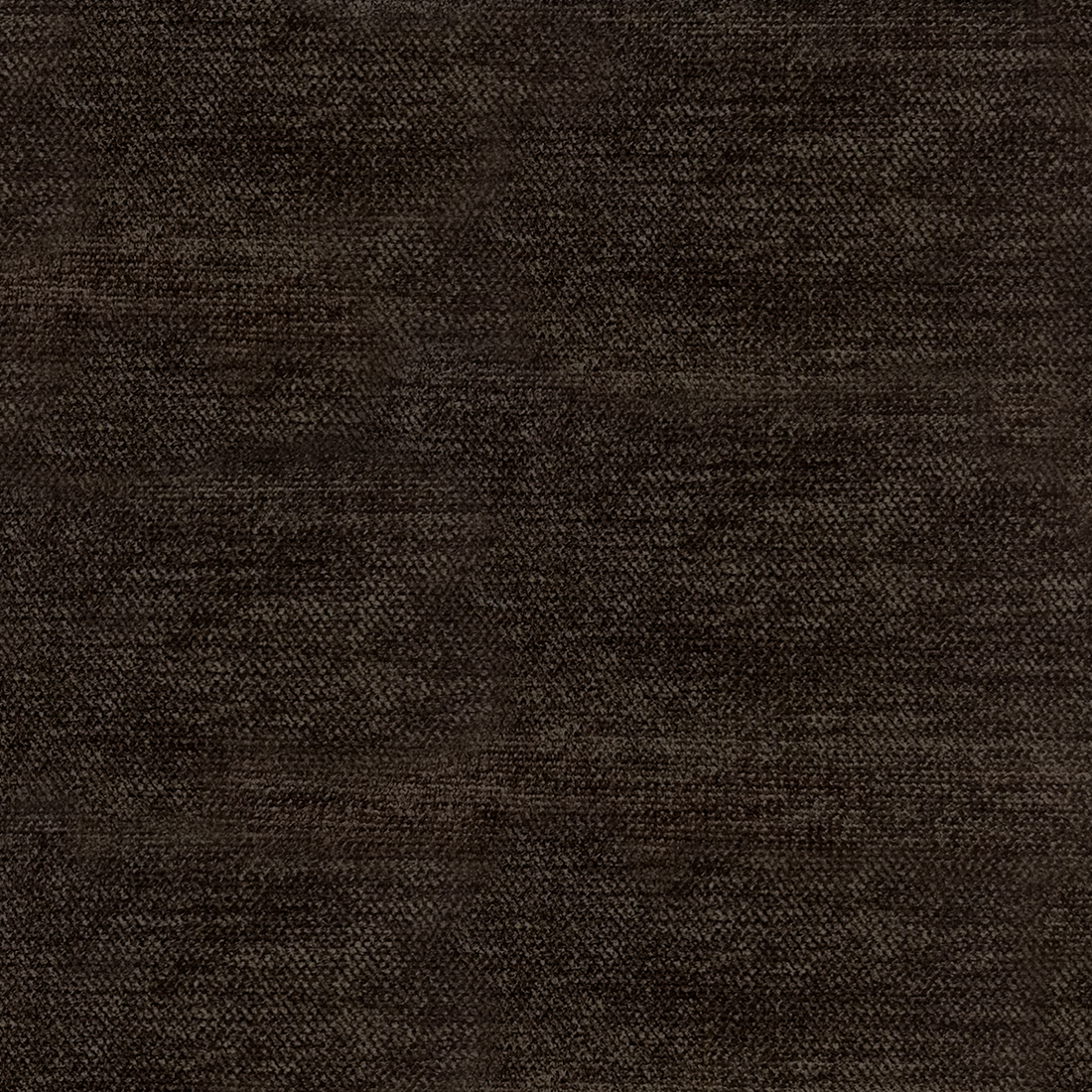 01 Cocoa.png