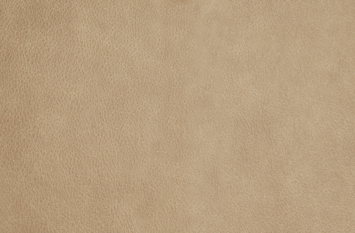 talco.png
