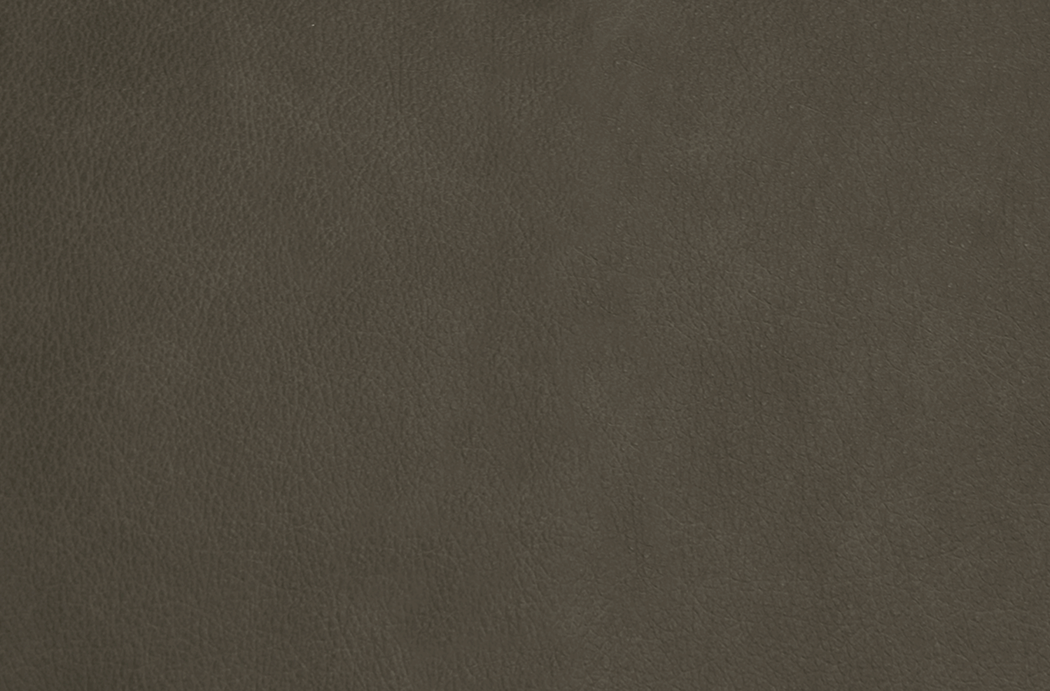 gris.png