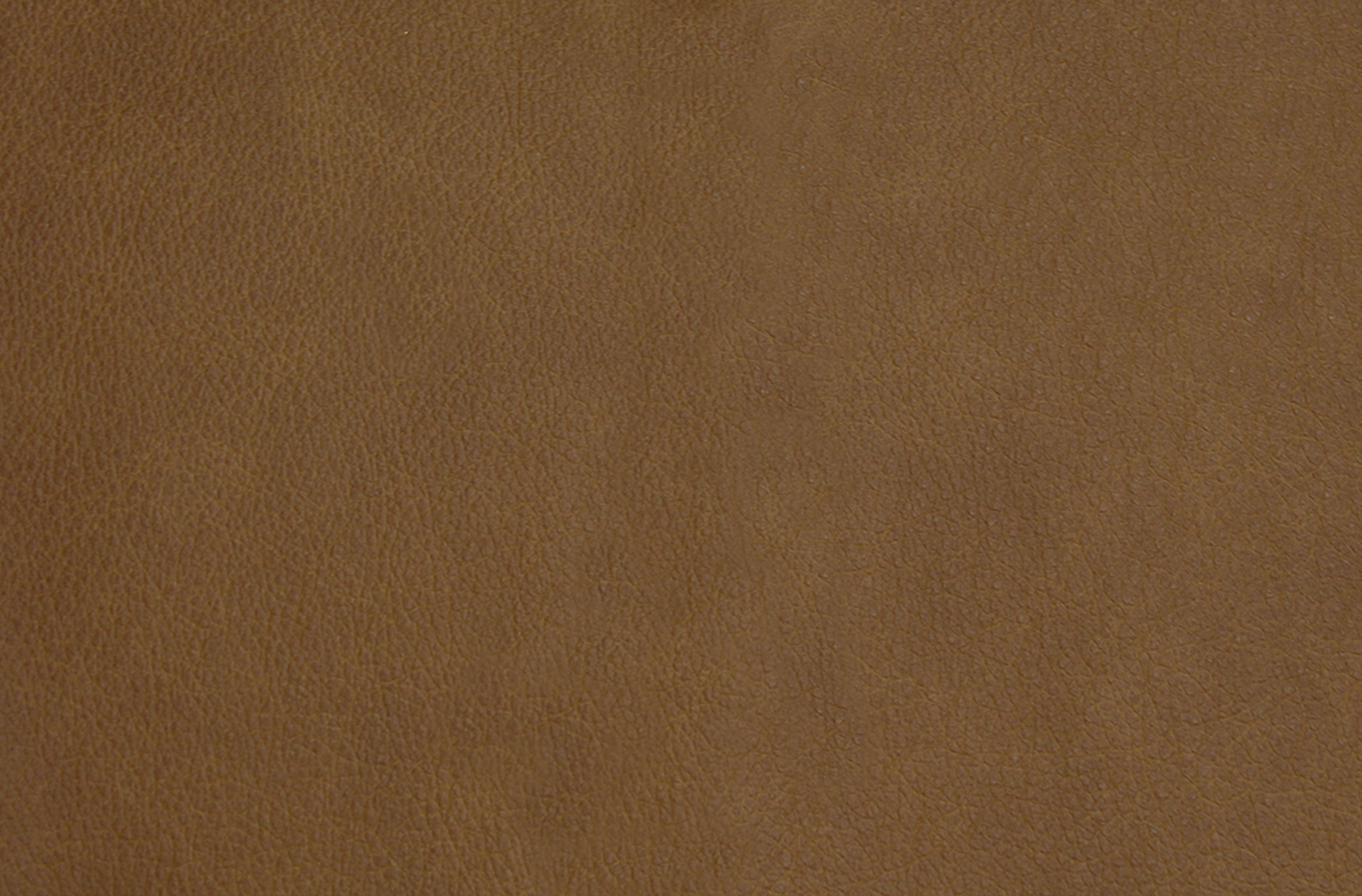 caramelo.png