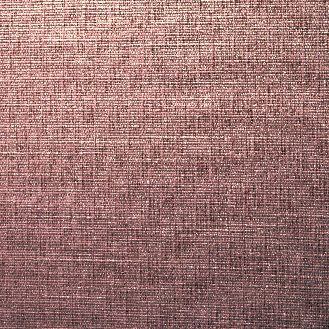 Essence 09 - Flamingo.jpg