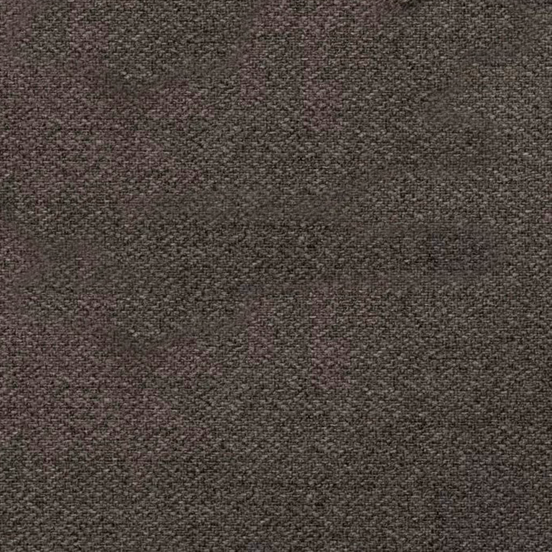 foster 6 fossil.png