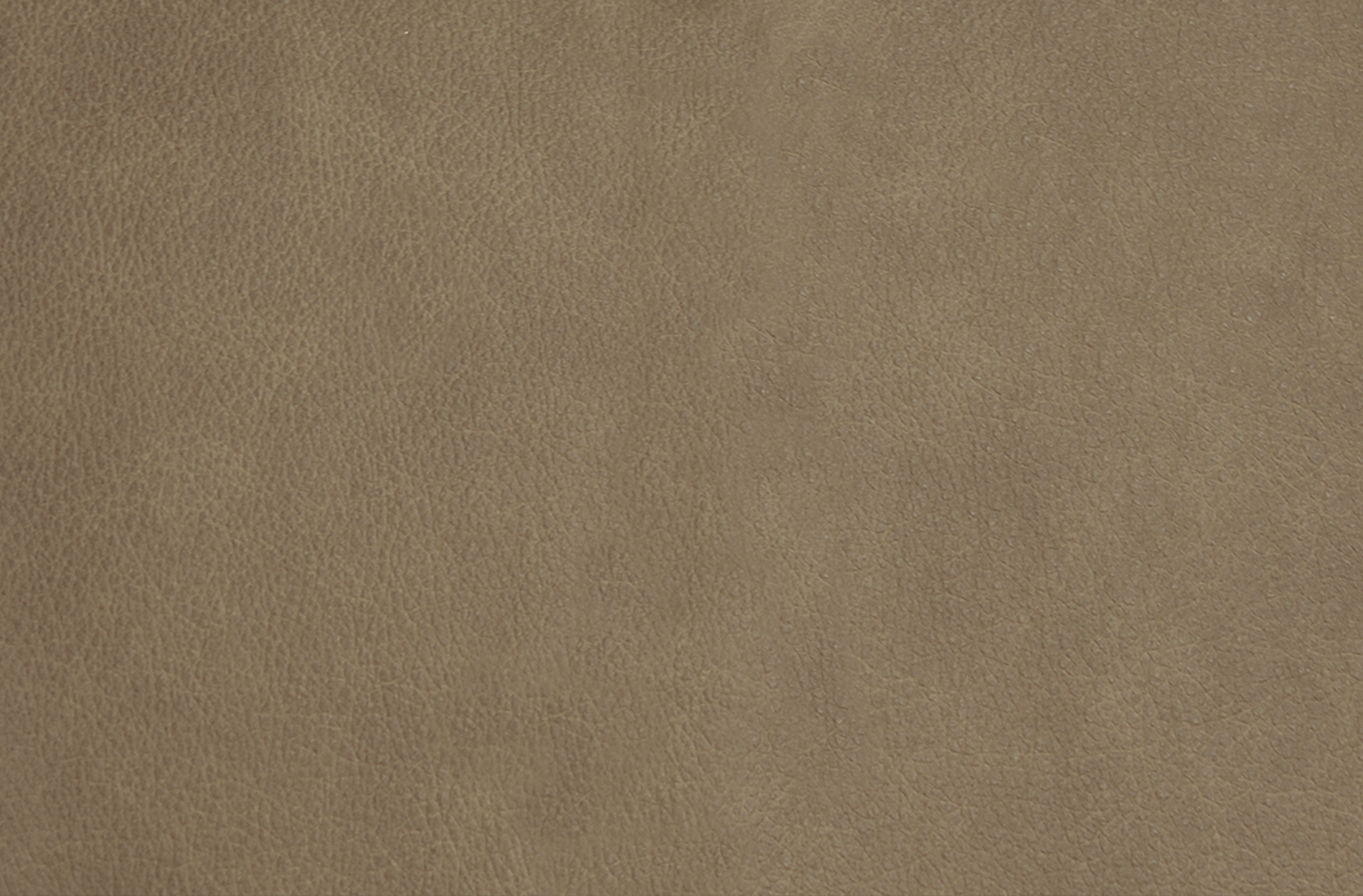 duna.png