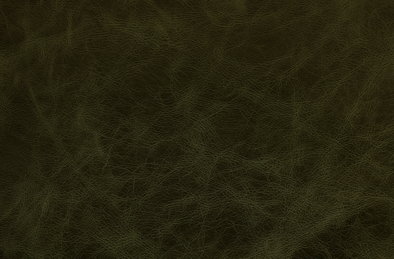 Vintage-Olive.png