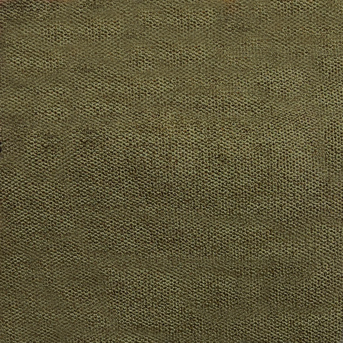 10 Olive.png