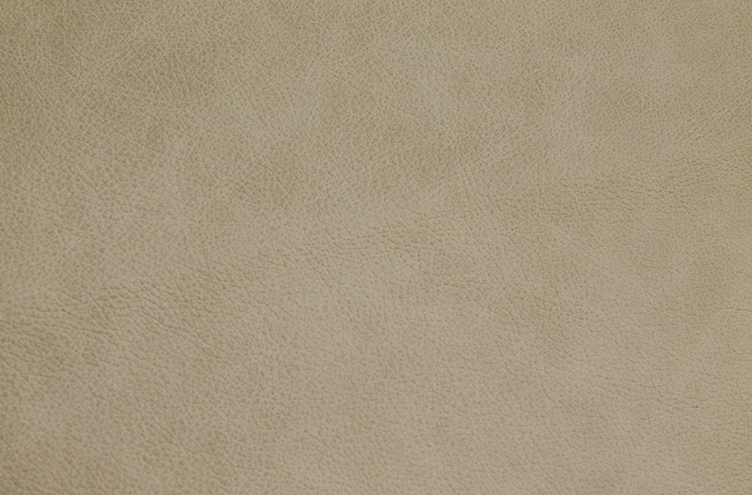 Arena.png