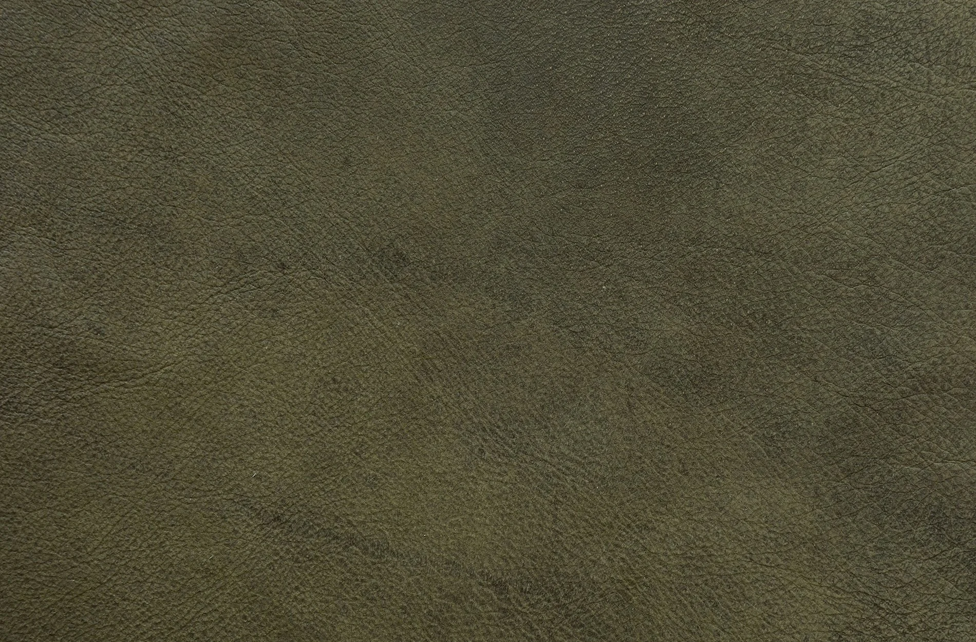 AntiqColonial-verde-OKweb.jpg