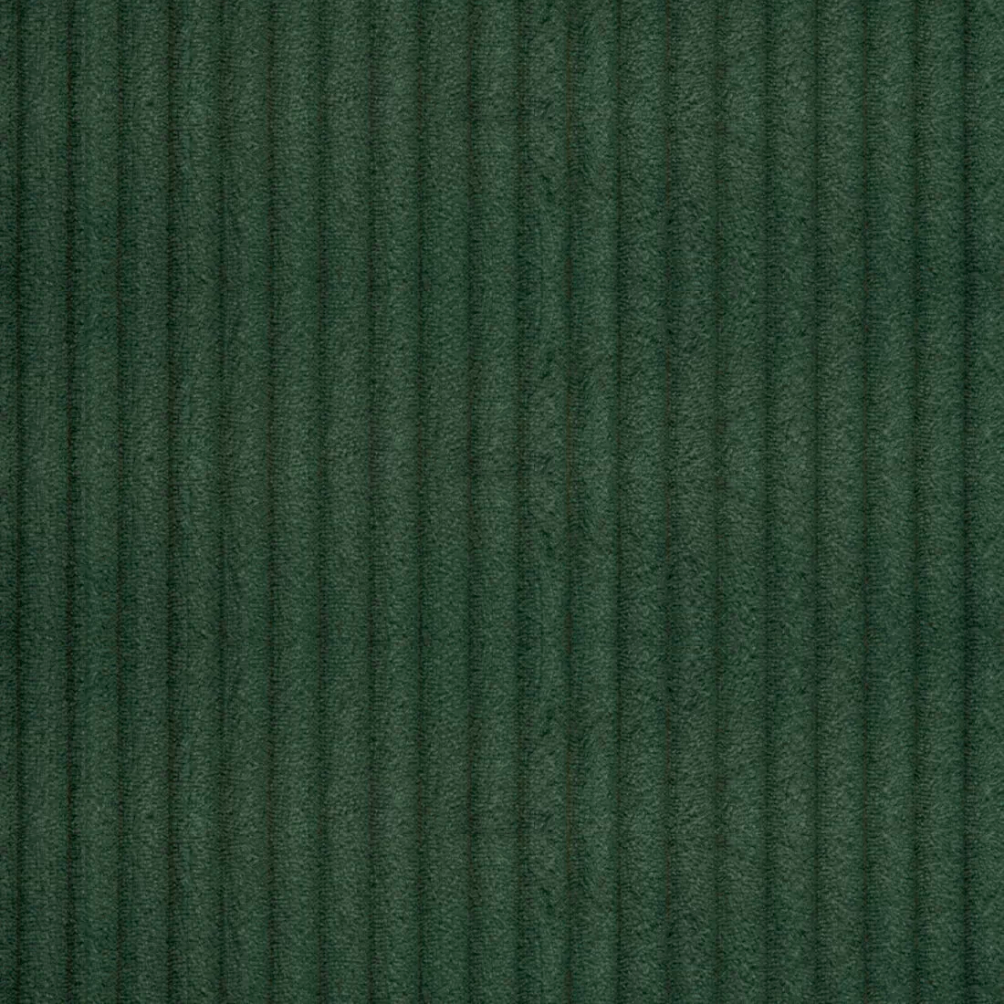 11.png