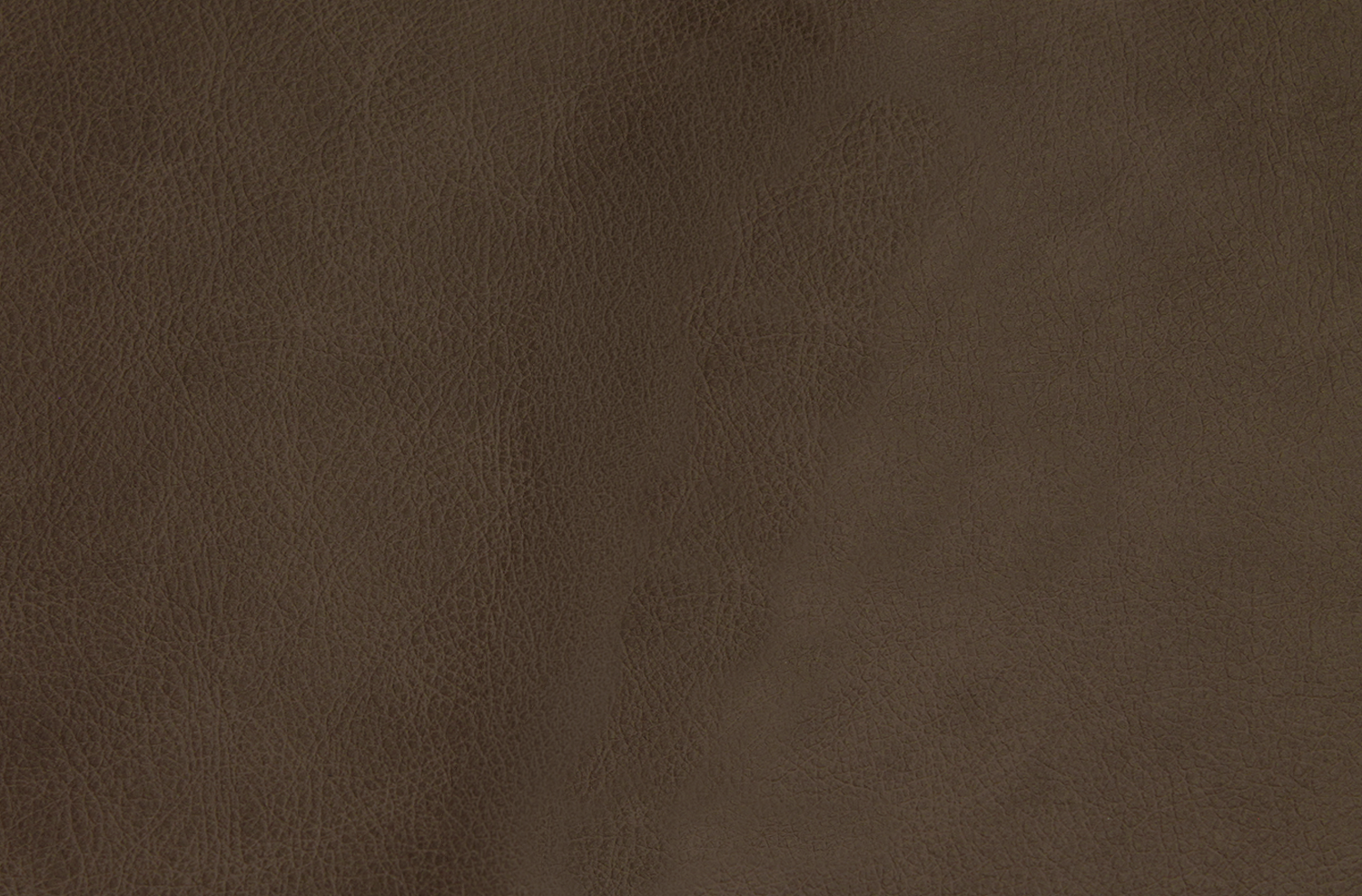 chocolate.png